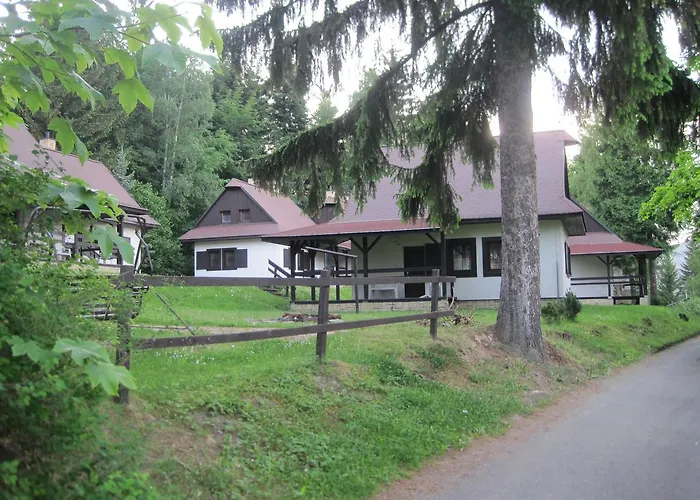Orman Evi Na Ralisce